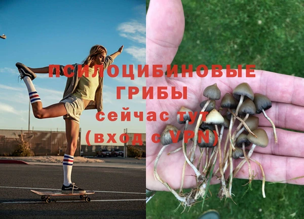 соль ск Краснослободск