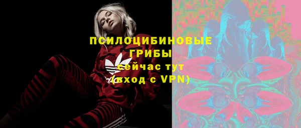 spice Балабаново