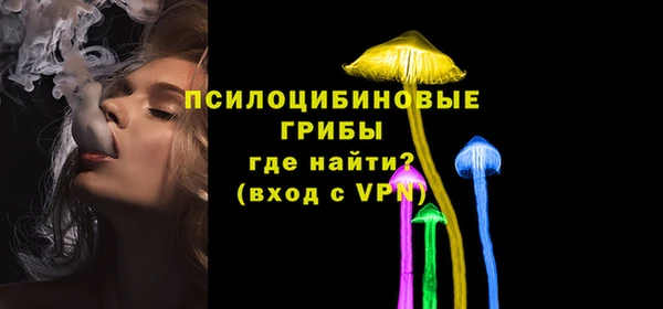 мяу мяу мука Баксан