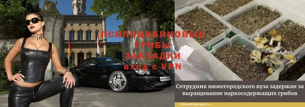 прущая мука Балахна