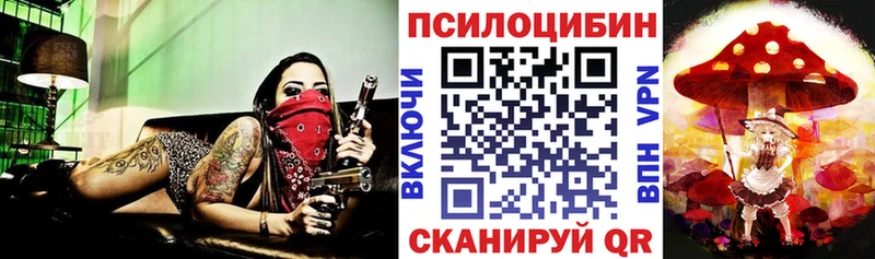 Купить где  Назарово  Псилоцибиновые грибы MAGIC MUSHROOMS 